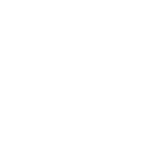 zendesk startups white logo